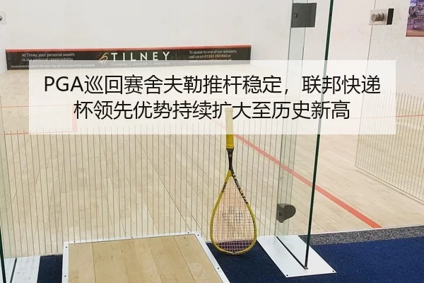 PGA巡回赛舍夫勒推杆稳定，联邦快递杯领先优势持续扩大至历史新高